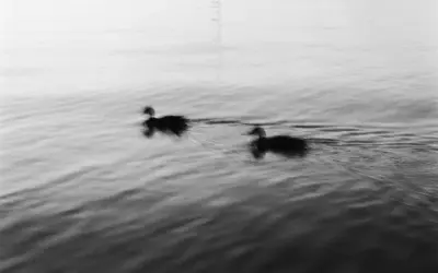 bleib weg, komm näher