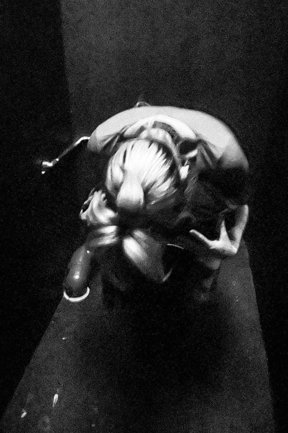 Die Aufnahme zeigt eine Spinne, vermutlich einer Art Weberspinne, die sich um den Blütenkopf einer Blume windet. Die Szene ist in Schwarzweiß gehalten und erzeugt eine dramatische Stimmung durch den starken Kontrast zwischen Licht und Schatten. Der Fokus liegt auf der Spinne und ihren Beinen, die sich eng um den Blütenkopf schlingen.