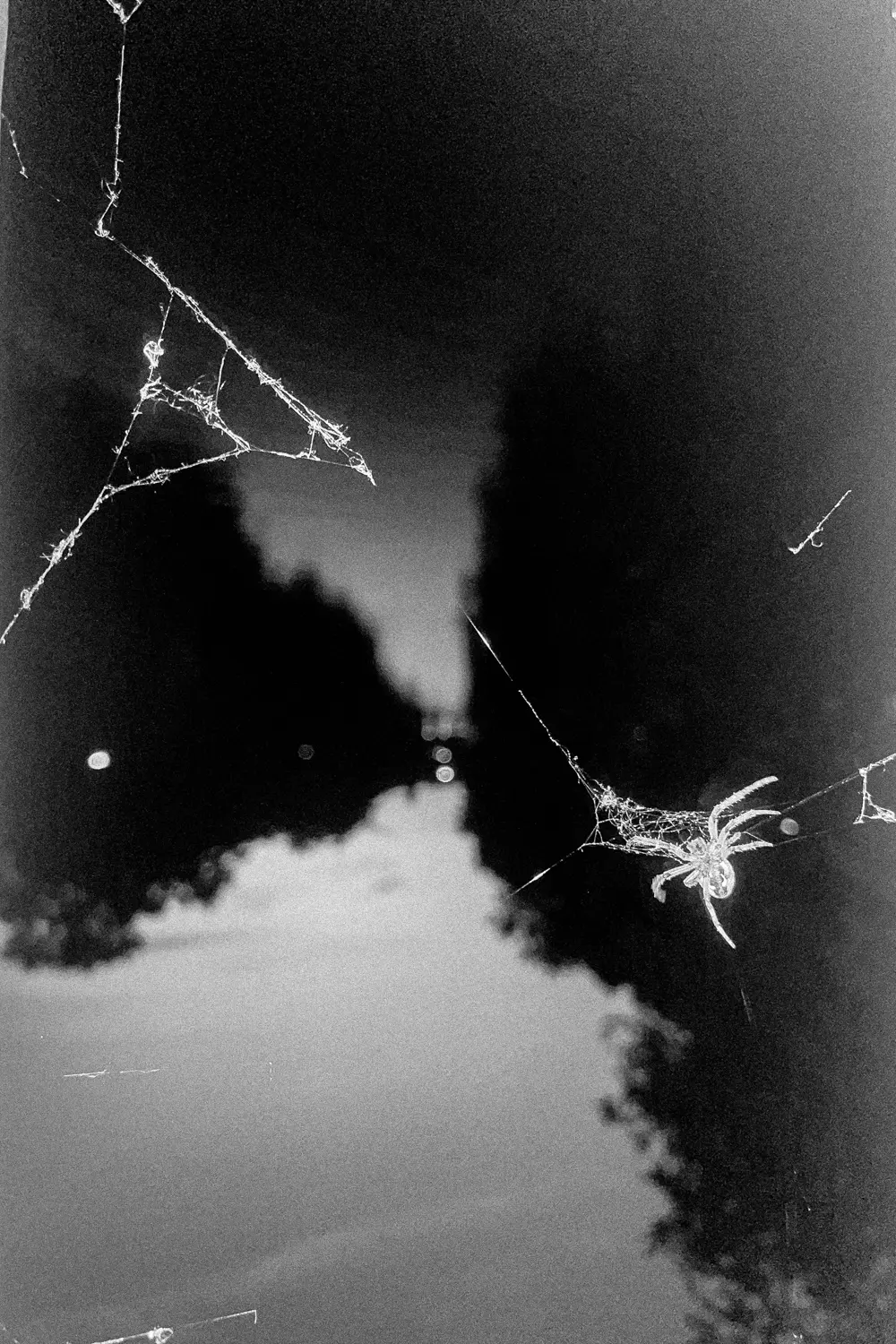 Die Aufnahme ist in Schwarzweiß gehalten und fängt einen surrealen Moment ein. Das Hauptmotiv ist ein dichtes, kompliziertes Spinnennetzwerk, das über eine Scheibe gespannt ist. Die Linien des Netzes sind deutlich sichtbar und erzeugen ein Gefühl von Ordnung und Komplexität. Im Hintergrund erkennt man einen kleinen Raum mit zwei Lichtquellen, die vermutlich Lampen sind. Der Raum wirkt düster und unheimlich. Das Bild hat eine starke Atmosphäre und lässt den Betrachter an einem Moment der Stille und des Geheimnisvollen denken.